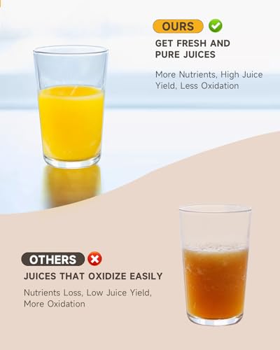 Cold Press Slow Juicer with Electric Coffee Grinder for Ginger