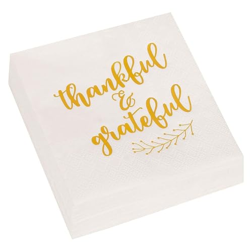 50 Pack Thanksgiving Cocktail Napkins Party Supplies Table Decorations (50 Pack)