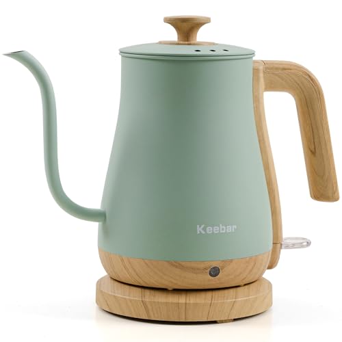Gooseneck Electric Kettle (Light Green / 0.8 Quarts)