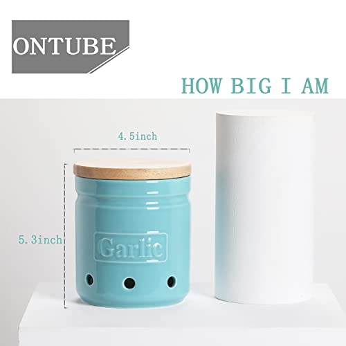 Garlic Keeper with Wooden Lid (Turquoise)