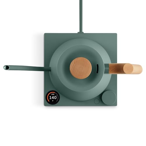Stagg EKG Pro Gooseneck Electric Kettle (Smoke Green with Maple Wood Handle / EKG Pro)