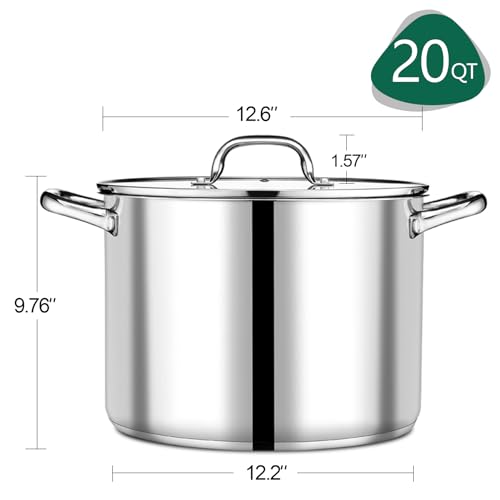 20 QT Stainless Steel Stock Pot with Lid (20 Quarts)