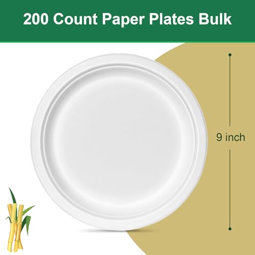 9 inch Disposable Paper Plates 200 Pack (9IN 200 Pcs)