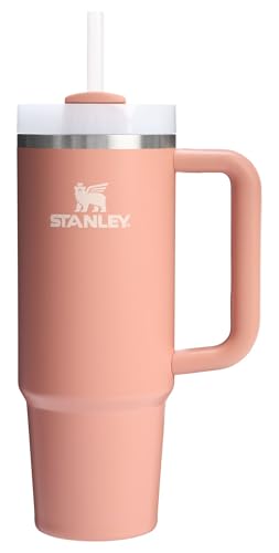 Quencher H2.0 Flow State Tumbler (30 Ounces / Sienna)