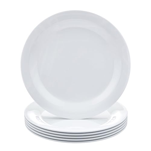 Melamine Dinner Plates for Restaurants and Home (6 Count)