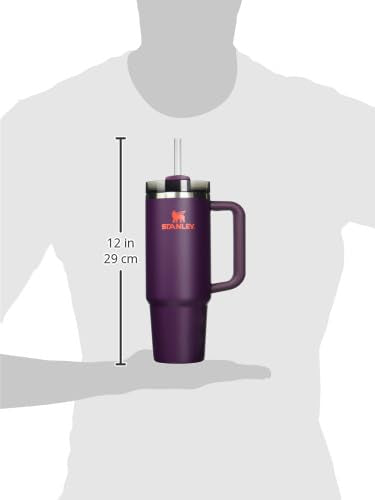 Quencher H2.0 Flow State Tumbler (30 Ounces / Plum)