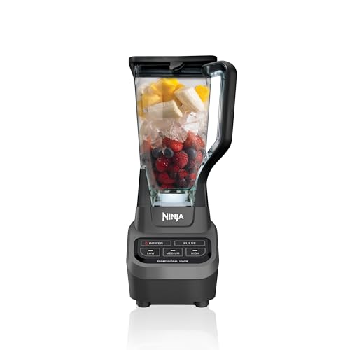 Professional Blender (Black/Gray)