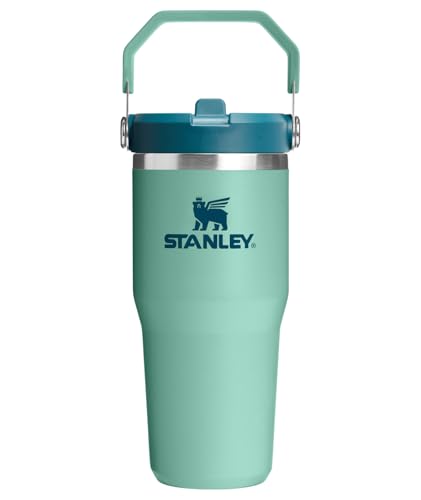 IceFlow 2.0 Flip Straw Tumbler (Spring Green / 14 Ounces)