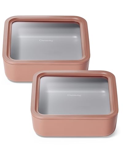 2 Piece Glass Food Storage Set with Lids (Perracotta / 10 Cup Food Storage (2x))