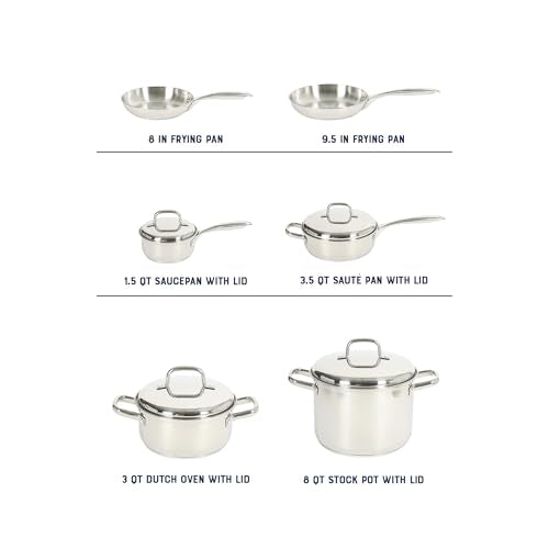 Platinum Sedwick 10 (Stainless (Sedwick) / 10-Piece Cookware Set)