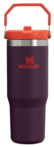 IceFlow Flip Straw Tumbler with Handle 30 oz (Plum / 30 Ounces)