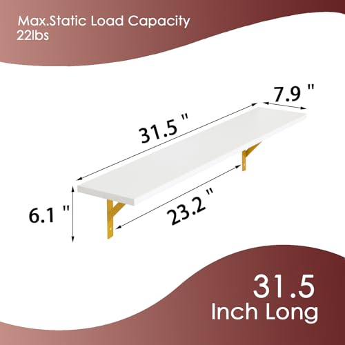 Long Wall Shelves (White and Gold / 31.5 Inch)