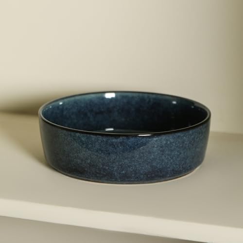 Eden 4 Piece Pasta Bowl Set Stoneware (Dark Blue / 4-Piece - Pasta Bowl)