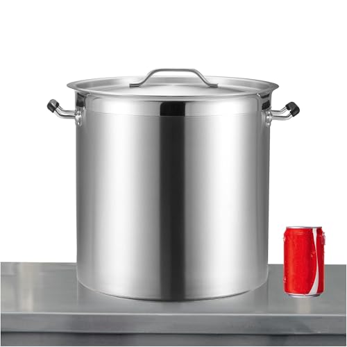 20 Quart Large Stock Pot with Lid (20 Quarts)