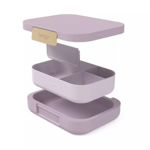 Modern Adult Bento Lunch Box with 3