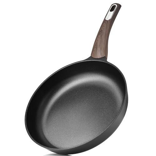 9.5Inch Nonstick Frying Pan Paella Pan (9.5 Inch / DARK Black)