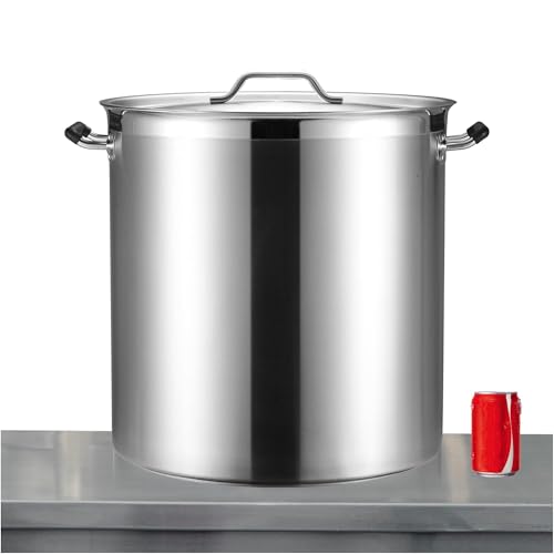 100 Quart Heavy Duty Stock Pot with Lid (100 Quarts)