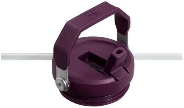 IceFlow Flip Straw Tumbler with Handle 30 oz (Tigerlily Plum / 30 Ounces)