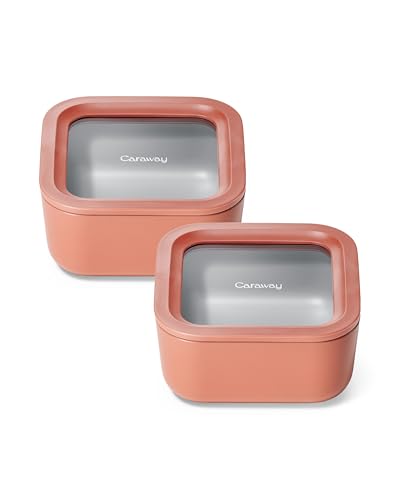 2 Piece Glass Food Storage Set with Lids (Perracotta / 4.4 Cup Food Storage (2x))