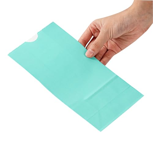 Turquoise Paper Bag (2 lb / Turquoise)