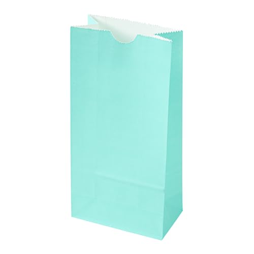 Turquoise Paper Bag (2 lb / Turquoise)
