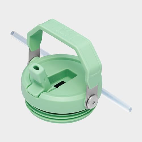 IceFlow Flip Straw Tumbler with Handle 30 oz (Citron / 30 Ounces)