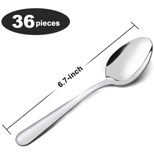 36 Piece Tea Spoons Set Silverware (6.7 inch silver tea spoons 36 pieces)