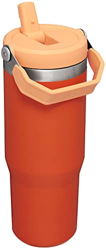 IceFlow Flip Straw Tumbler with Handle 30 oz (Tigerlily / 30 Ounces)