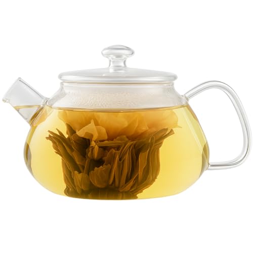 Viva Nicola All Borosilicate Glass Teapot with Lid Included