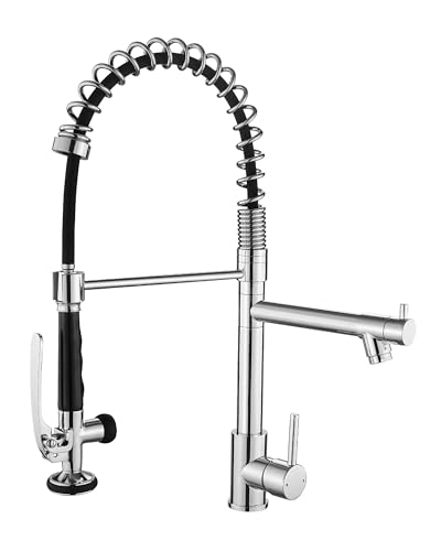 Chrome Kitchen Faucet with Sprayer (Chrome)