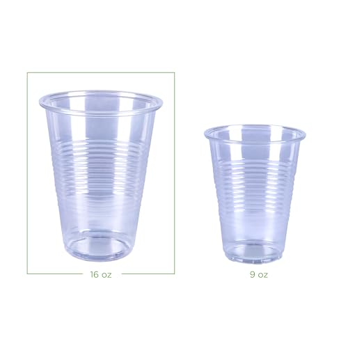 Disposable Clear Plastic Cups for Cold Drinks (16 Ounces)