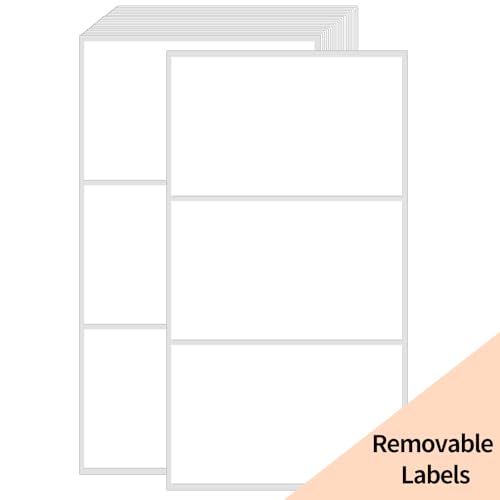 Removable Colored Labels Stickers