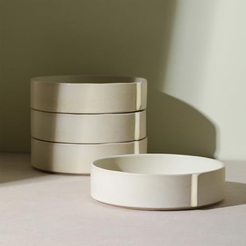 Bao 4 Piece Pasta Bowl Set Stoneware (Beige / 4-Piece - Pasta Bowl)
