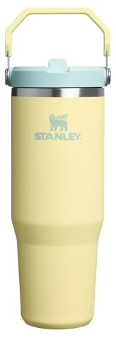 IceFlow 2.0 Flip Straw Tumbler (Pomelo 2.0 / 30 Ounces)