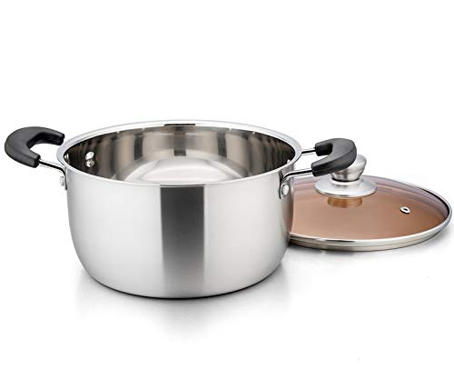 6 Qt Stockpot with Lid (6 Quarts)