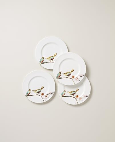 897262 Chirp Salad Plates (Salad Plates, Set of 4)
