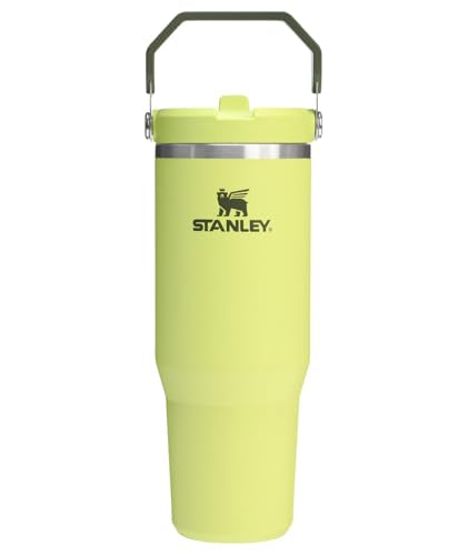 IceFlow 2.0 Flip Straw Tumbler (Prickly Pear / 30 Ounces)