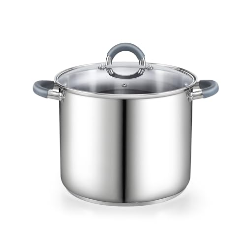 Basics 8 Quart Stainless Steel Stock Pot with Lid (8 Quarts / Gray Silicone Handle)