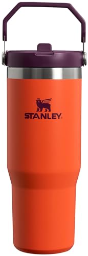 IceFlow Flip Straw Tumbler with Handle 30 oz (Tigerlily Plum / 30 Ounces)