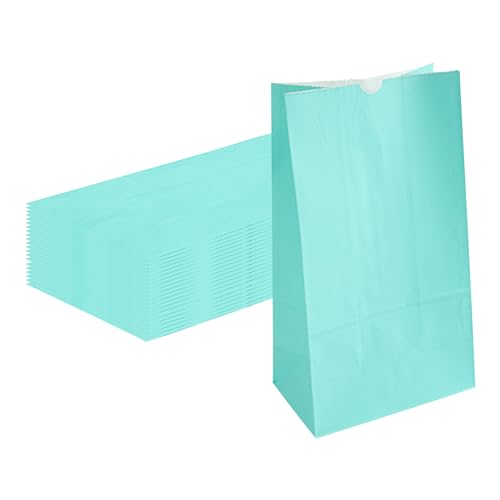 Turquoise Paper Bag (12 lb / Turquoise)