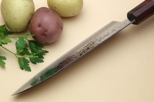 VG10 46 Layers Hammered Damascus Santoku Japanese Multipurpose Chef Knife (7" / Silver)