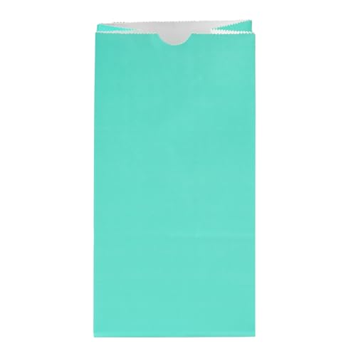 Turquoise Paper Bag (4 lb / Turquoise)