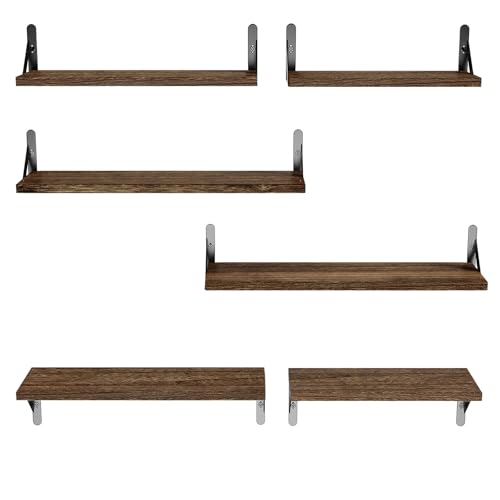 Amada Solid Paulownia Wood Wall Shelves (Brown / Large)