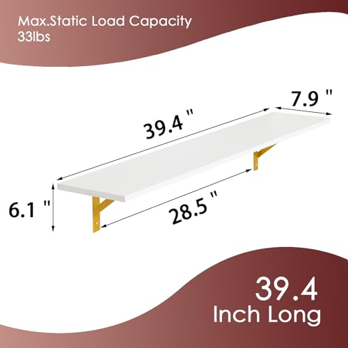 Long Wall Shelves (White and Gold / 39.4 Inch)