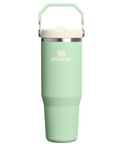 IceFlow 2.0 Flip Straw Tumbler (Pistachio / 30 Ounces)