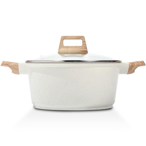 Nonstick Stock Pot with Lid