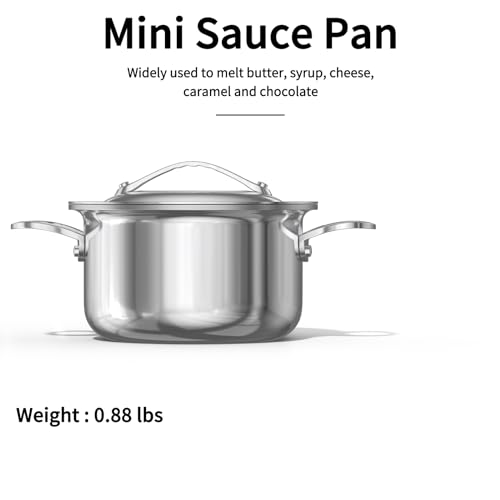 Mini Sauce Pan with Lid (0.42 QT / Silver)