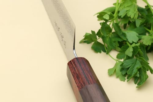 VG10 46 Layers Hammered Damascus Santoku Japanese Multipurpose Chef Knife (7" / Silver)
