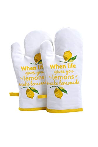 Oven Mitts Set of 1 Quilted Liner with Hanging Loop Non Slip (7x13 inches / Citrus Splash)