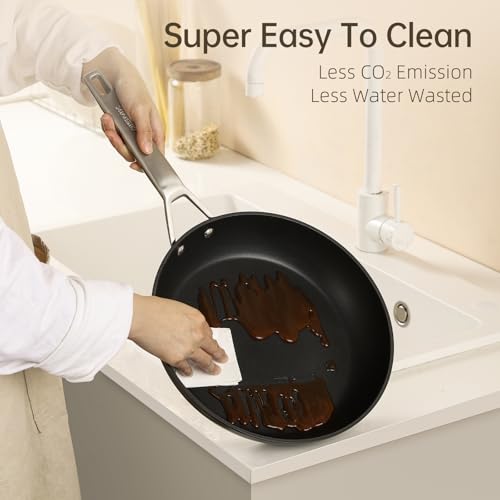 7 Inch Small Nonstick Frying pan (7 Inch)